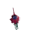 X-Manchey