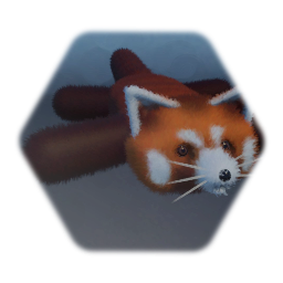 Miranda the Ragdoll Red Panda