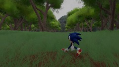 Sonic the hedgehog