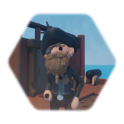 Pirate Captain Sillybeard