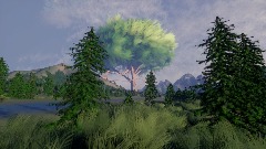 TREE RACE