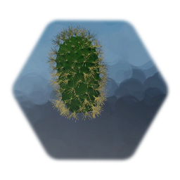 Cactus