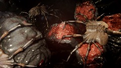 Cute Little Baby Facehugger!