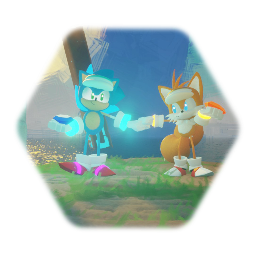 Sonic and Tails Duo Sonic Neoverse