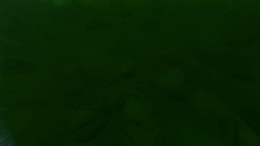 My creation-Fortnite