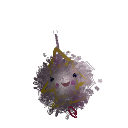 MRS-Dank95