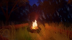 Rainy Night in the Woods