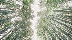 A screenshot taken in Dreams. 4 of 4.