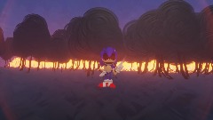 Playable You cant run sonic