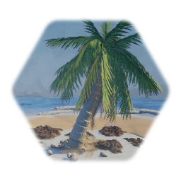 Dryreefs Swaying palm tree