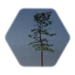 Mountain Tree Pack