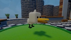 Welcome Home Duckies!