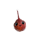 TheNumeralist