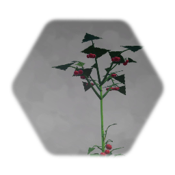 Remix of Tomato Plant