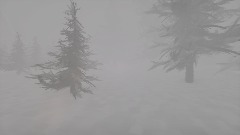 The Snowy forest