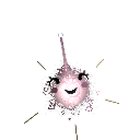 Poogie_the_Cute