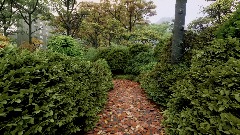 A screenshot taken in Dreams. 1 of 2.