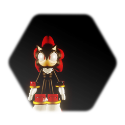 Shadow frame work model