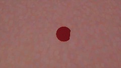 Damage Taking effect test