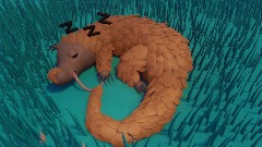 DHM Pangolin snoozing
