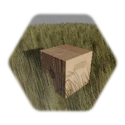 Tren Cardboard Box (Updated)