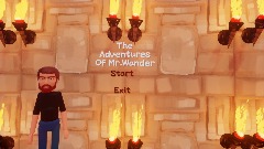 The Adventures Of Mr.Wander