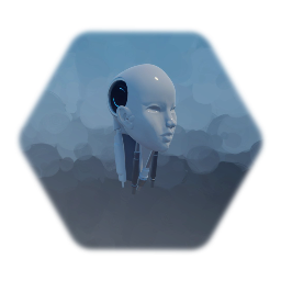 Cyborg Head