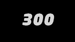 300 FOLLOWERS