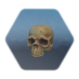 skull