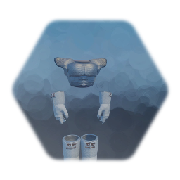 ZZ warrior Suit top and boots with gloves