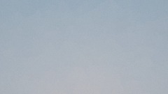 Rodekirby lets birds with rabies cause chaos