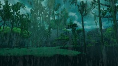 POV Rainforrest