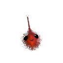xDaSauceGodx