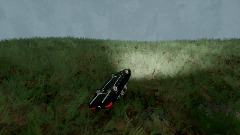 Long