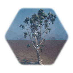 <uipossessvizbody> Dreams Guild -Eucalyptus Tree