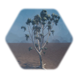 Lucid Trees