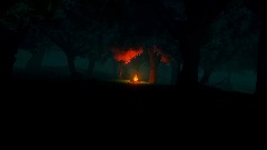 Woods & fire scene