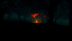 Woods & fire scene