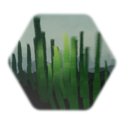 Kelp Forrest