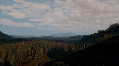 On The Nature of The Penguin