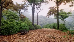 A screenshot taken in Dreams. 5 of 30.