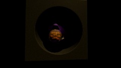 Swallow the Sea trailler