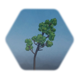 Small tree