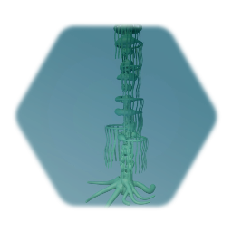 Swamp cane