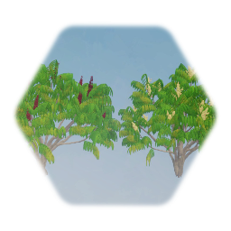Sumac (Tree of Heaven)