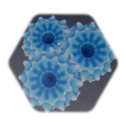 Radial coral