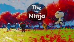 The Little Ninja