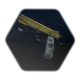 <term>Duke Nukem's Pistol