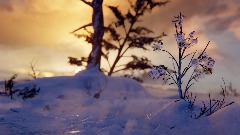 A screenshot taken in Dreams. 14 of 23.