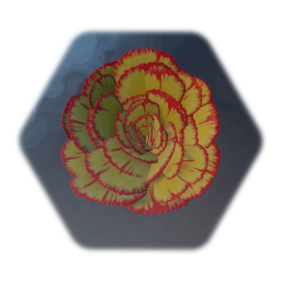 Dianthus (Flower)